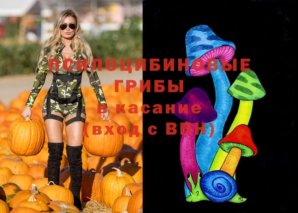 амф Россошь