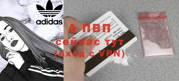 амф Россошь