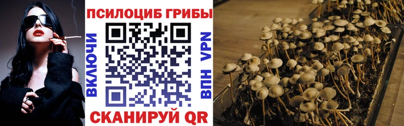 Галлюциногенные грибы Psilocybe  как найти закладки  Ермолино 